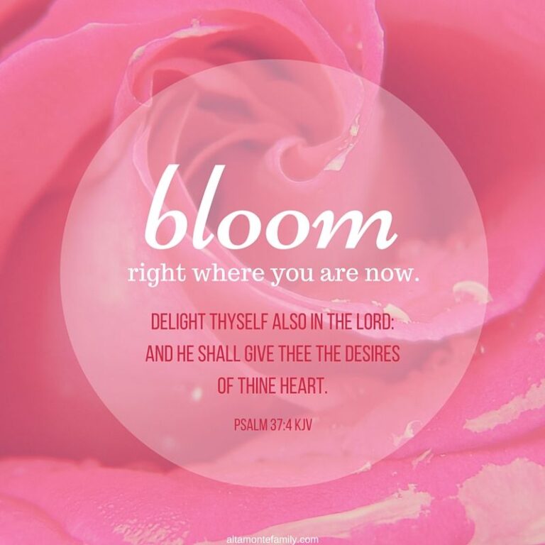 A Sentence With The Word Bloom In It